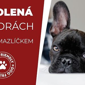 Pokój